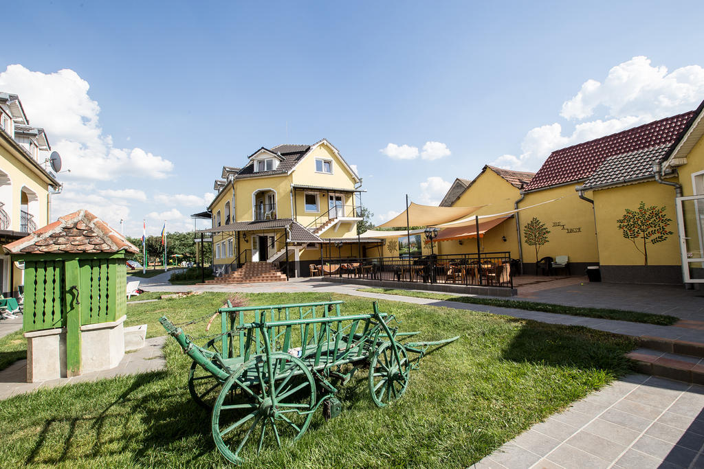 Pensiunea Poarta Oilor Gîrbova Exterior foto